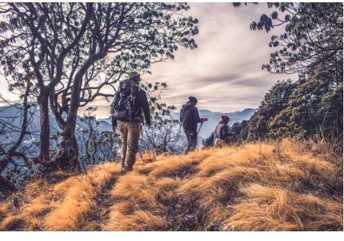 Clip art photo of three people hiking with backpacks and hiking sticks. There are trees surrounding them and they look to be going around a turn.